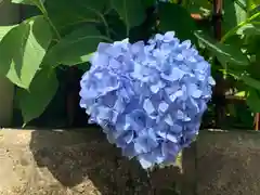 白山神社の自然