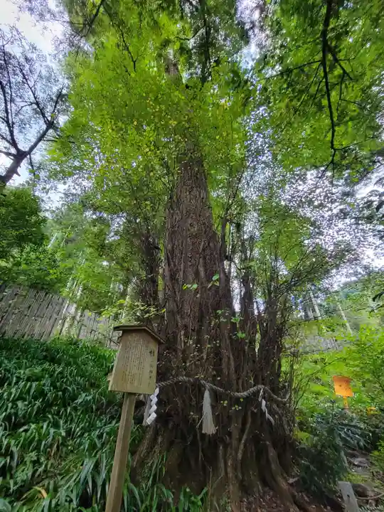 貴船神社(京都府)