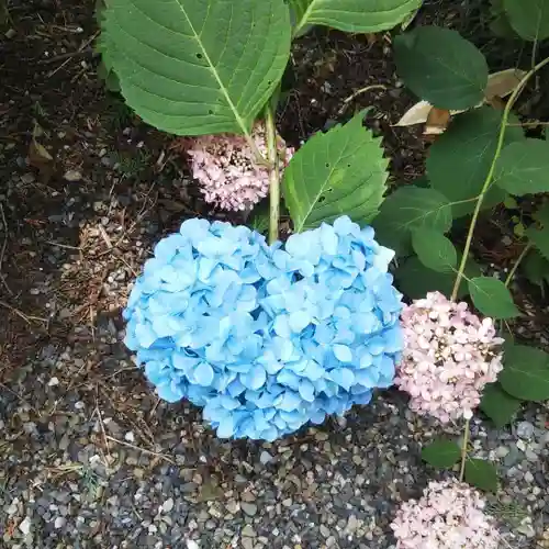磯山神社の自然