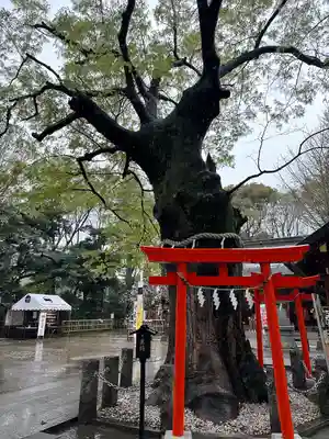 新田神社(東京都)