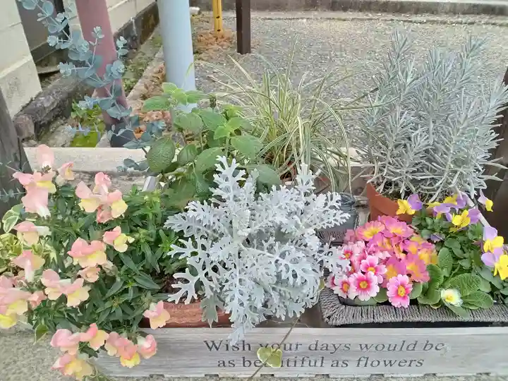 篠津神社(滋賀県)