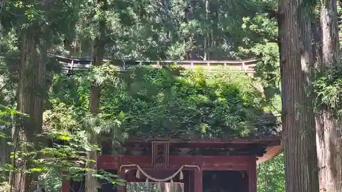 戸隠神社奥社(長野県)