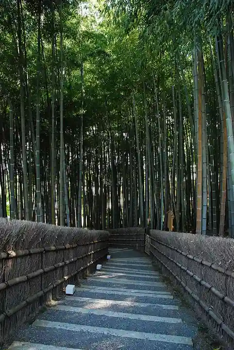 化野念仏寺(京都府)