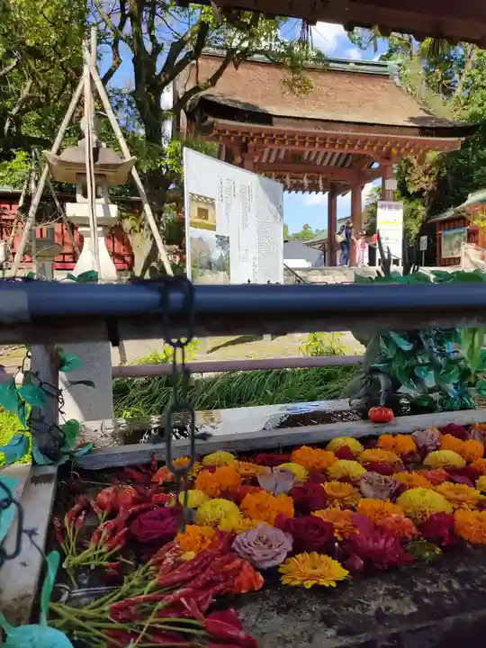 津島神社の手水舎
