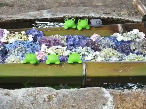 立志神社(滋賀県)