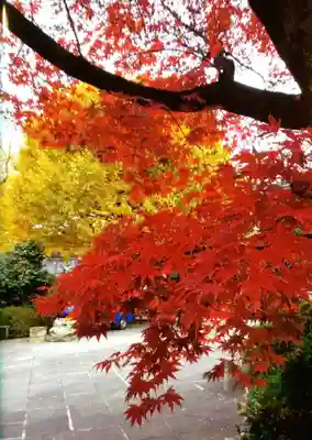 高円寺(東京都)