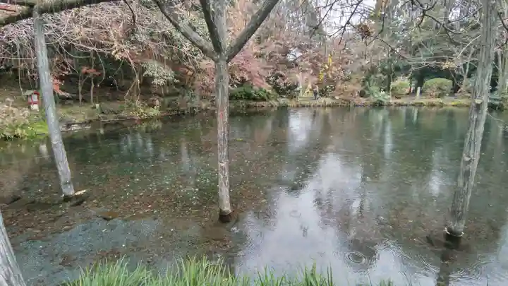 富士山本宮浅間大社(静岡県)