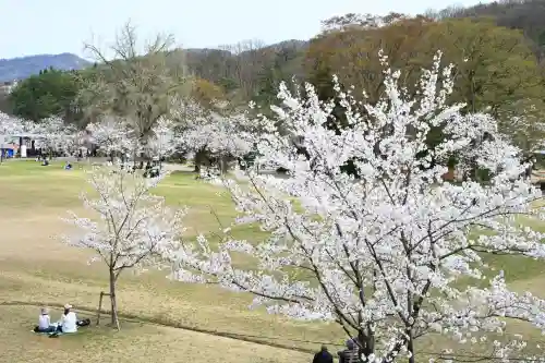 蒼柴神社(新潟県)