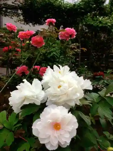 禅定院(東京都)