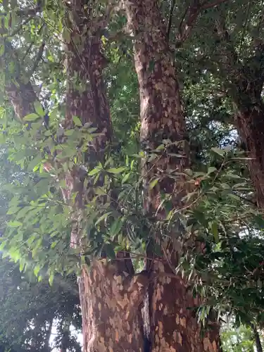 磯部稲村神社(茨城県)