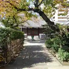 妙徳寺の景色