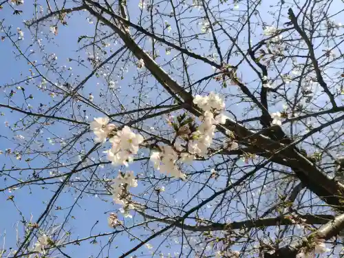 秋葉神社の{uncategorized: "未分類", other: "その他", undefined: "問題あり", building: "その他建物", grave: "お墓", sacred_gate: "鳥居", guardian: "狛犬", statue: "像", buddha: "仏像", history: "歴史", nature: "自然", garden: "庭園", animal: "動物", pagoda: "塔", temizu: "手水舎", mountain_gate: "山門・神門", sanctuary: "本殿・本堂", subordinate: "末社・摂社", art: "芸術", scenery: "景色", jizo: "地蔵", ema: "絵馬", goshuin: "御朱印", omikuji: "おみくじ", items: "授与品その他", amulet: "お守り", goshuincho: "御朱印帳", eats: "食事", festival: "お祭り", votive_dance: "神楽", shichigosan: "七五三参", wedding: "結婚式", experience: "体験その他", initially: "初詣", around: "周辺", anti_infection: "感染症対策"}