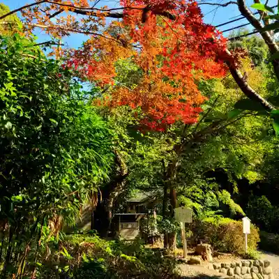 赤尾渋垂郡辺神社(静岡県)