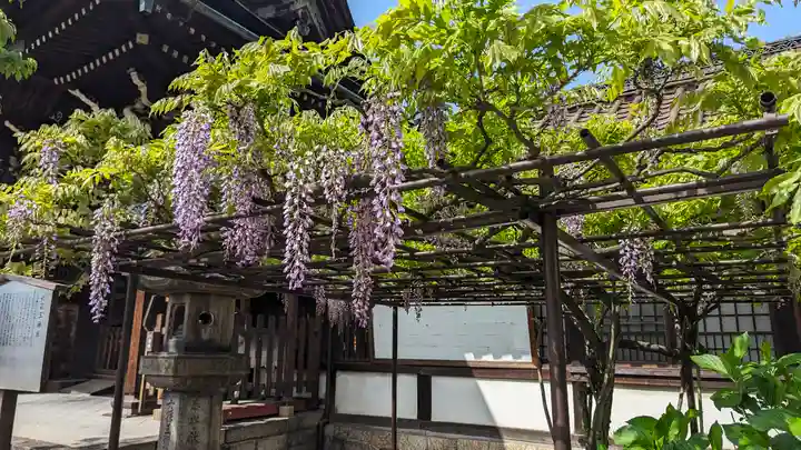 六孫王神社(京都府)