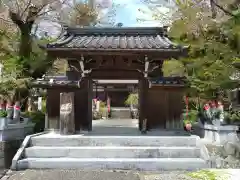 竜洞院(愛知県)