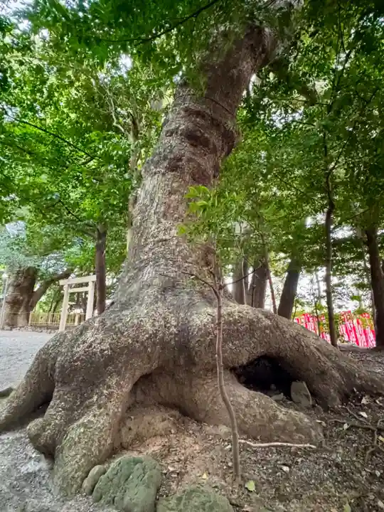 船江上社(三重県)
