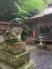 愛宕神社の狛犬