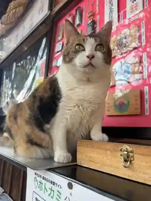 賀茂別雷神社(栃木県)