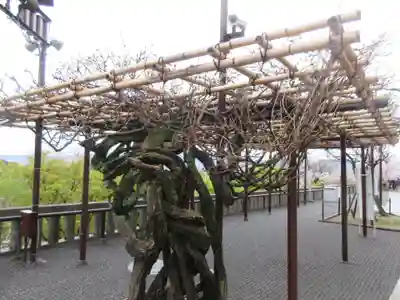 清水寺(京都府)