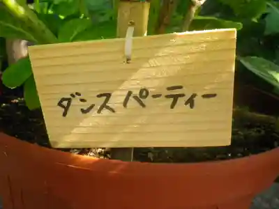 長谷寺のその他建物