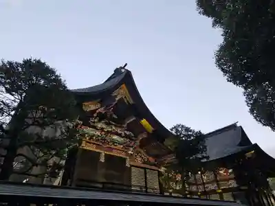 秩父神社(埼玉県)
