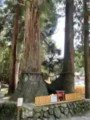 室生龍穴神社(奈良県)