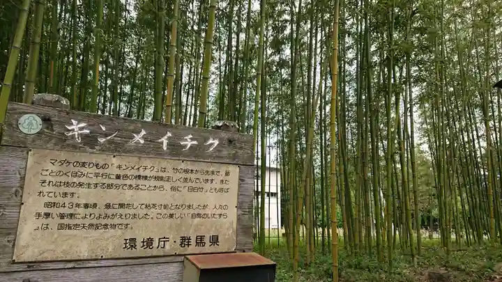 八幡宮の自然