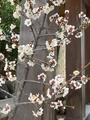 高司神社〜むすびの神の鎮まる社〜(福島県)
