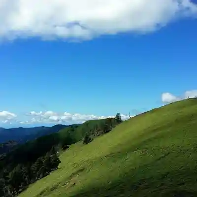 劔山本宮宝蔵石神社の景色