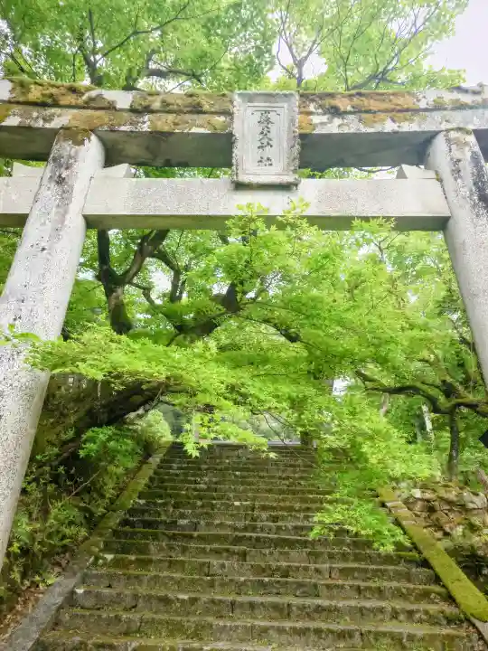 養父神社の{uncategorized: "未分類", other: "その他", undefined: "問題あり", building: "その他建物", grave: "お墓", sacred_gate: "鳥居", guardian: "狛犬", statue: "像", buddha: "仏像", history: "歴史", nature: "自然", garden: "庭園", animal: "動物", pagoda: "塔", temizu: "手水舎", mountain_gate: "山門・神門", sanctuary: "本殿・本堂", subordinate: "末社・摂社", art: "芸術", scenery: "景色", jizo: "地蔵", ema: "絵馬", goshuin: "御朱印", omikuji: "おみくじ", items: "授与品その他", amulet: "お守り", goshuincho: "御朱印帳", eats: "食事", festival: "お祭り", votive_dance: "神楽", shichigosan: "七五三参", wedding: "結婚式", experience: "体験その他", initially: "初詣", around: "周辺", anti_infection: "感染症対策"}