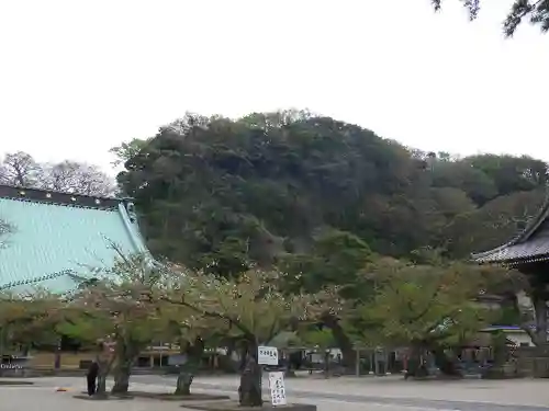 光明寺のその他建物