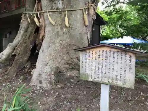 蒲原神社の自然