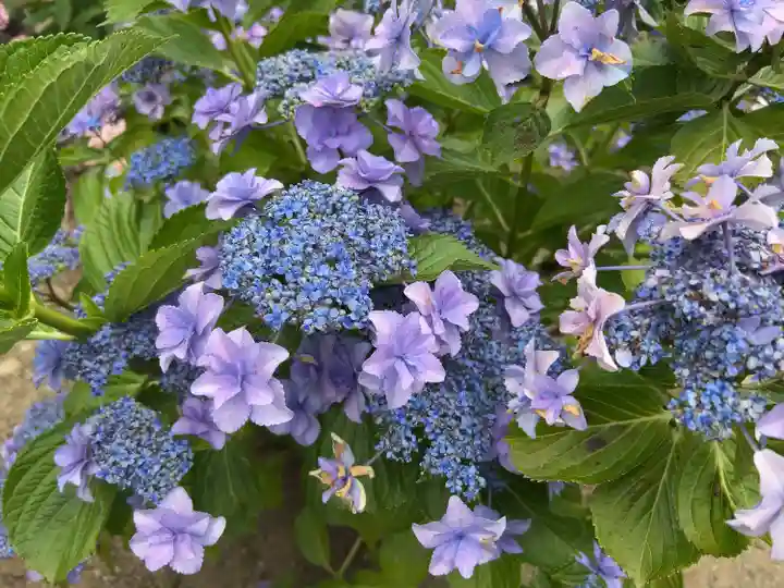 日吉八王子神社(東京都)