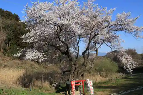 宇賀神さまの庭園