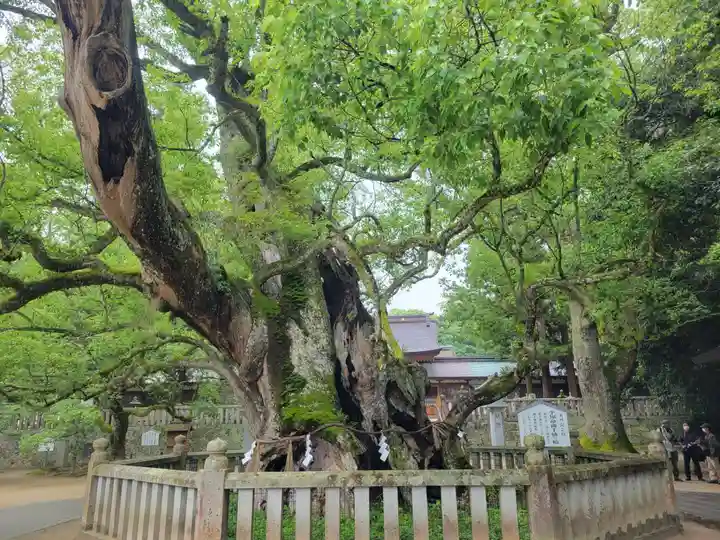 大山祇神社(愛媛県)