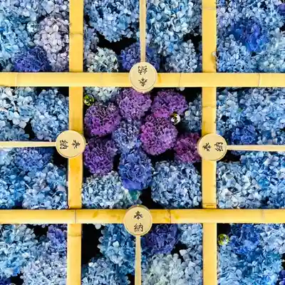 土津神社|こどもと出世の神さまの手水舎