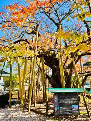 日光山輪王寺大護摩堂の{uncategorized: "未分類", other: "その他", undefined: "問題あり", building: "その他建物", grave: "お墓", sacred_gate: "鳥居", guardian: "狛犬", statue: "像", buddha: "仏像", history: "歴史", nature: "自然", garden: "庭園", animal: "動物", pagoda: "塔", temizu: "手水舎", mountain_gate: "山門・神門", sanctuary: "本殿・本堂", subordinate: "末社・摂社", art: "芸術", scenery: "景色", jizo: "地蔵", ema: "絵馬", goshuin: "御朱印", omikuji: "おみくじ", items: "授与品その他", amulet: "お守り", goshuincho: "御朱印帳", eats: "食事", festival: "お祭り", votive_dance: "神楽", shichigosan: "七五三参", wedding: "結婚式", experience: "体験その他", initially: "初詣", around: "周辺", anti_infection: "感染症対策"}
