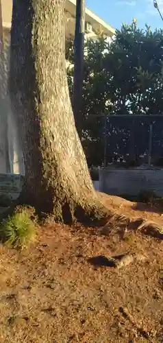 荒巻神明社(宮城県)