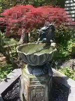 成就院の手水舎