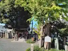 八坂神社の建物その他