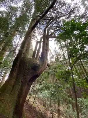 幣立神宮(熊本県)