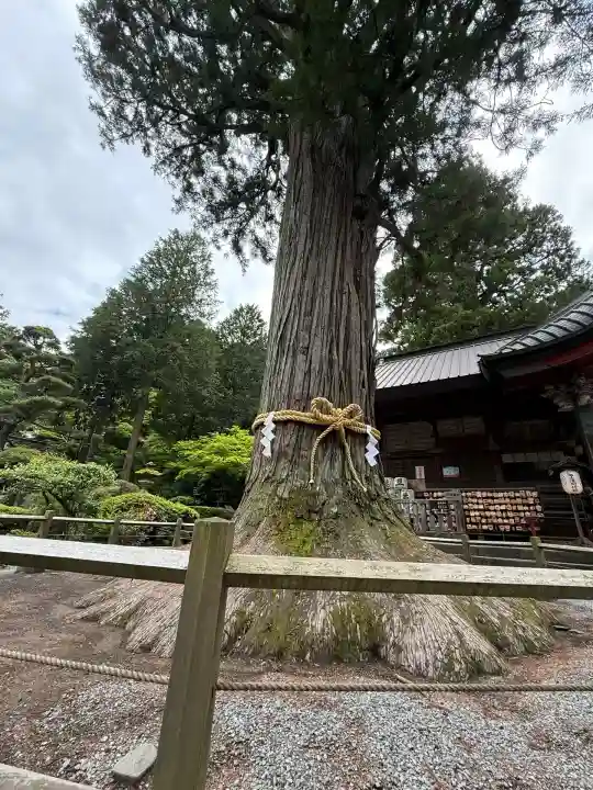 北口本宮冨士浅間神社(山梨県)