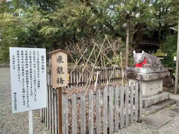 潮江天満宮の自然