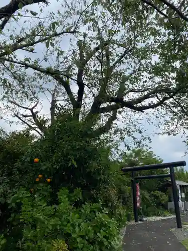 城山富士浅間神社(静岡県)