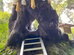 笠森寺(千葉県)