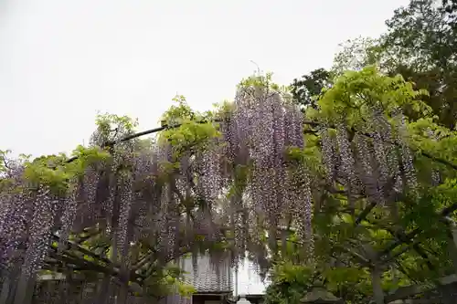 三大神社(滋賀県)