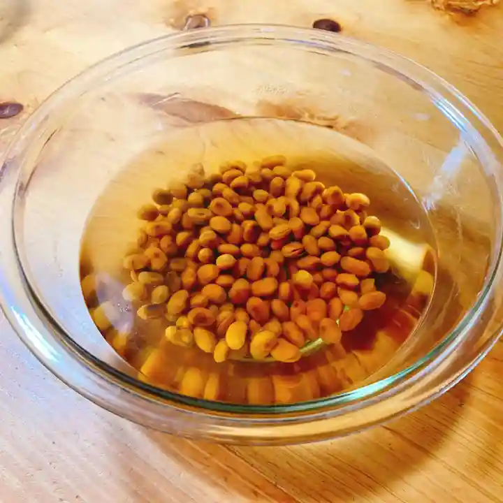 仁玄寺(北海道)