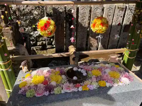 小倉八幡神社の{uncategorized: "未分類", other: "その他", undefined: "問題あり", building: "その他建物", grave: "お墓", sacred_gate: "鳥居", guardian: "狛犬", statue: "像", buddha: "仏像", history: "歴史", nature: "自然", garden: "庭園", animal: "動物", pagoda: "塔", temizu: "手水舎", mountain_gate: "山門・神門", sanctuary: "本殿・本堂", subordinate: "末社・摂社", art: "芸術", scenery: "景色", jizo: "地蔵", ema: "絵馬", goshuin: "御朱印", omikuji: "おみくじ", items: "授与品その他", amulet: "お守り", goshuincho: "御朱印帳", eats: "食事", festival: "お祭り", votive_dance: "神楽", shichigosan: "七五三参", wedding: "結婚式", experience: "体験その他", initially: "初詣", around: "周辺", anti_infection: "感染症対策"}