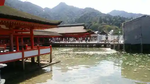 厳島神社の本殿