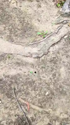 今井神社(千葉県)